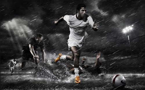 够识别出自 够识别出自