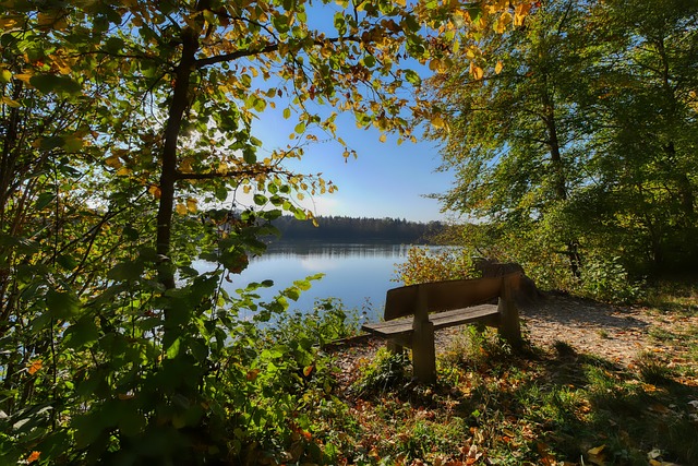 他的这种特 他的这种特