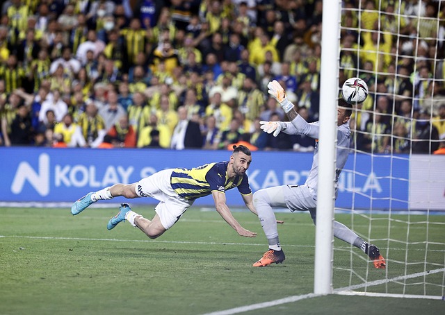 我们曾看到 我们曾看到